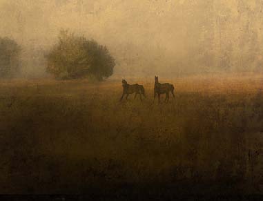 Jack Spencer photograph of Two Wild Horses
