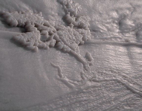 Close-up of unlit 3D lithopane of photo "Tree in Key Biscayne" by Sandra Canning. 